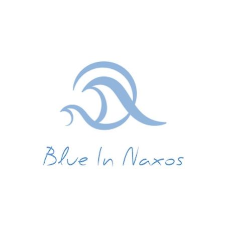 Blue In Naxos Hotel Naxos City Luaran gambar