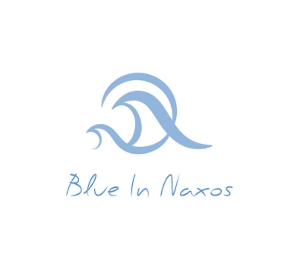 Blue In Naxos Hotel Naxos City Luaran gambar